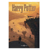 harry potter e il calice di fuoco de lucchi