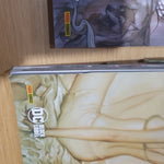 Fables Completa 1-24 + 2 Speciali ( LUPI MANNANARI AMERICANI E LE 1001 NOTTI DI NEVE)