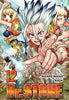 DR.STONE 12