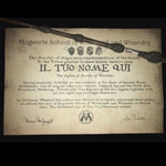 Uovo Di Pasqua in Cioccolato Con Sorpresa a tema Harry Potter + DIPLOMA DI MAGO di Hogwarts